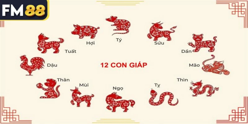 Chọn ngày phù hợp với màu lông là yếu tố quan trọng trong Đá Gà 12 Con Giáp